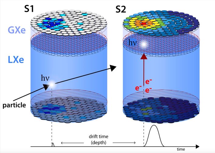 Purdue XENONnT project